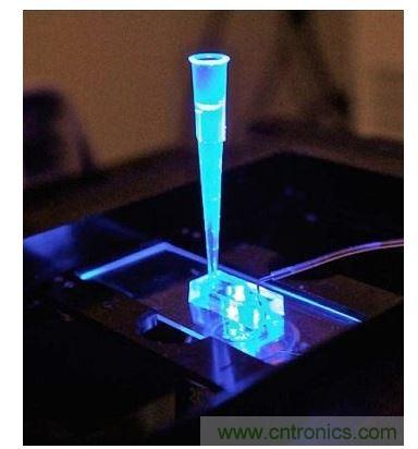 加州柏克萊大學(xué)所開(kāi)發(fā)的“心臟單芯片”用以放置從成人干細(xì)胞產(chǎn)出的人類心臟組織，該系統(tǒng)有一天可望替代實(shí)驗(yàn)動(dòng)物應(yīng)用于藥物安全篩檢