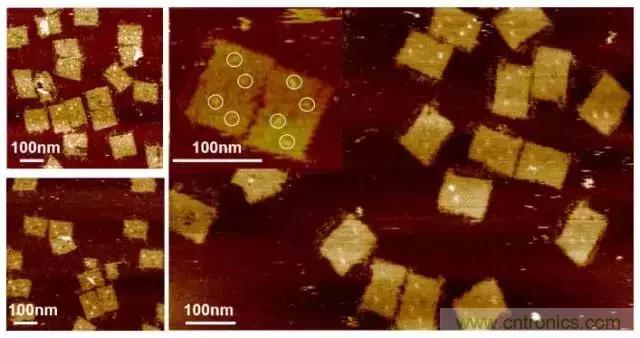中美科學家聯(lián)手，用DNA納米機器人殺死癌細胞