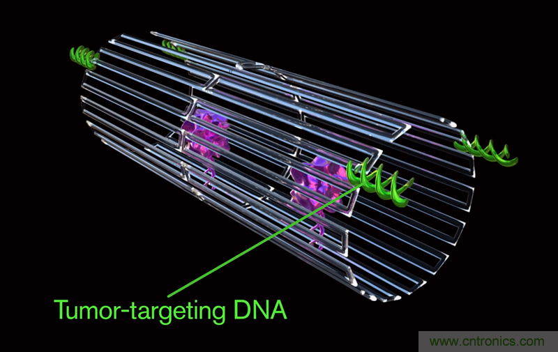中美科學家聯(lián)手，用DNA納米機器人殺死癌細胞
