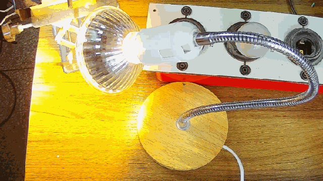 電燈泡內(nèi)通有交流電，為什么看不到燈泡在閃爍？